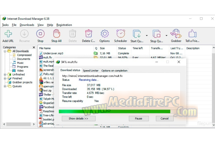 Internet Download Manager 2025 v6.42 full version