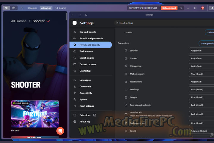 Ray Browser 2025 v140.0.7339.2657 free download