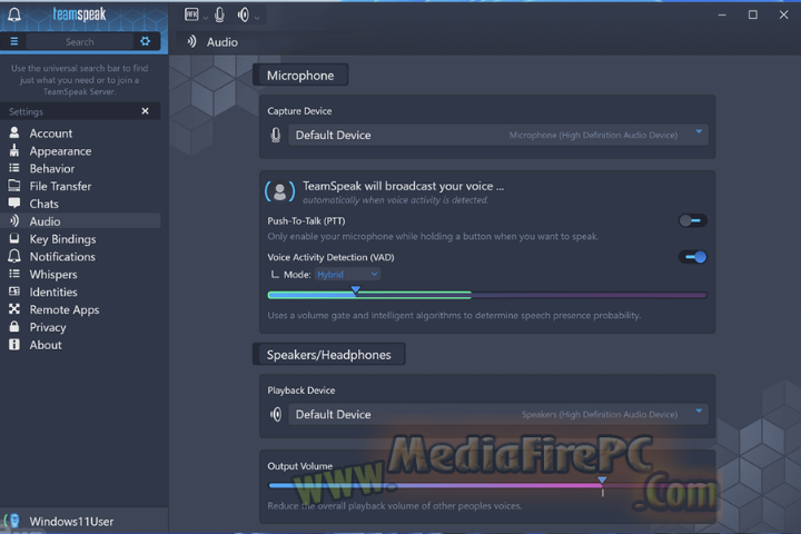 Team Speak 2025 v6.0.0 free download