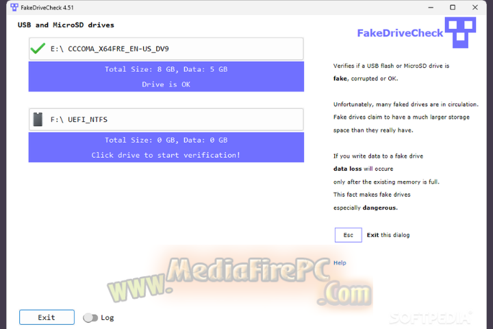 Fake Drive Check 2025 v4.70 full version
