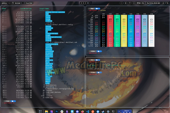 SeelenUI 2025 v2.4.4 for pc