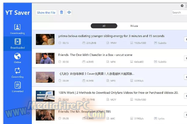 YT Saver Pro 2025 v10.9.3 for pc