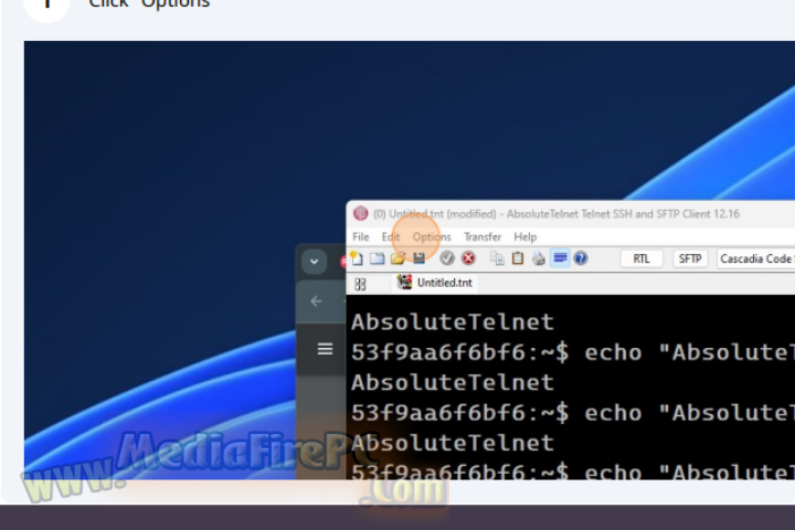 Absolute Telnet 2025 v13.15 free download