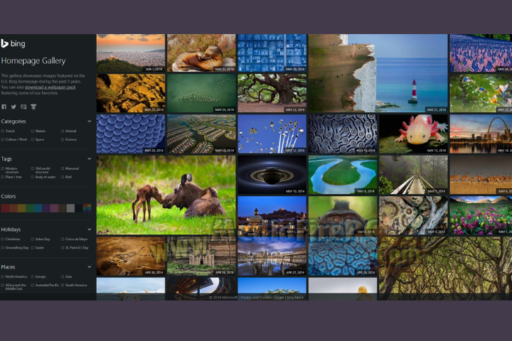BingWallpaper 2025 v1.1.434.0 free download