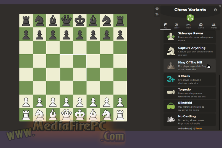  Chess King 2026 v26.0.0.2600 for pc