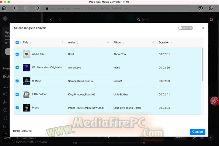 Pazu Tidal Music Converter 2025 v1.7.1 for pc Pazu Tidal Music Converter 2025 v1.7.1 for pc