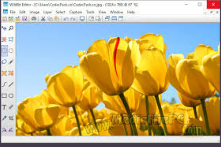 Wild Bit Viewer 2026 v6.19 for pc