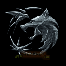 IPS witcher Setup 2025 v4.5.0.35 [Latest Software]