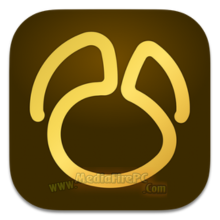 Navicat Premium Enterprise 2025 v17.3.6 [Latest Software]